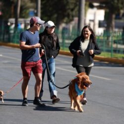 Familias encuentran en la Ruta Recreativa espacio para la recreación y activación física2
