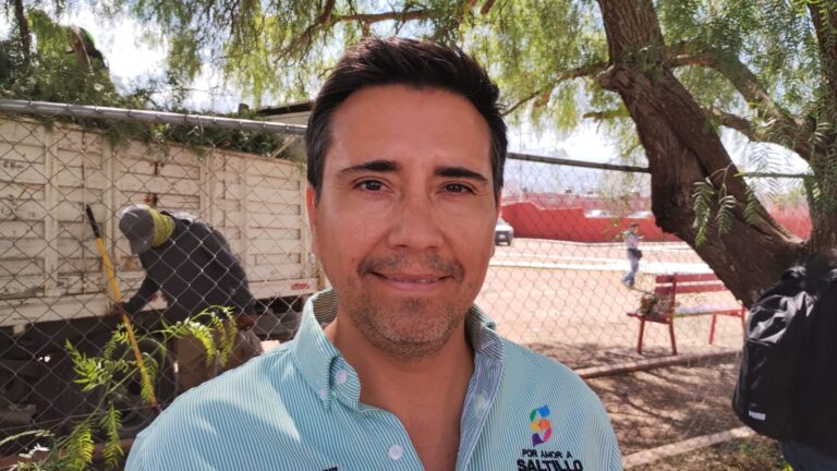 Fijan plazo fatal para reposición de árboles en la plaza Nogalera