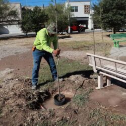 Intensifica Javier Díaz acciones de reforestación y limpieza integral en plazas públicas2