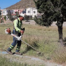 Intensifica Javier Díaz acciones de reforestación y limpieza integral en plazas públicas3