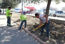 Intensifica Saltillo acciones de limpieza en plazas públicas de la ciudad