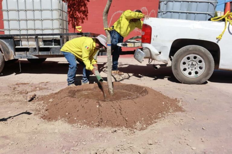 Interviene Municipio arroyo Del Cuatro en la Morelos