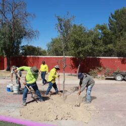 Interviene Municipio arroyo Del Cuatro en la Morelos1
