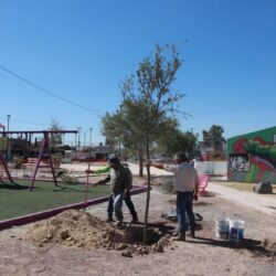 Interviene Municipio arroyo Del Cuatro en la Morelos2