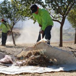 Interviene Municipio arroyo Del Cuatro en la Morelos4
