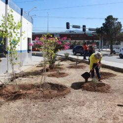 Lleva Javier Díaz acciones de delimitación de carriles viales al sur de Saltillo