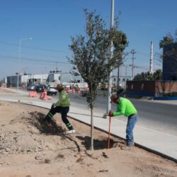 Mejora Saltillo seguridad vial; delimita carriles en bulevar Francisco Coss2