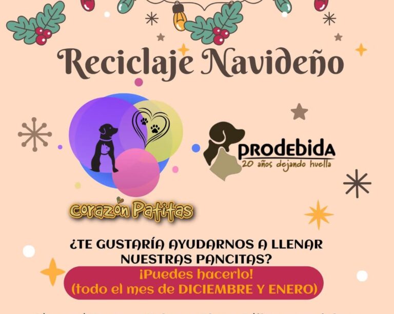 Realizarán asociaciones rescatistas colecta de material reciclable a beneficio de albergues caninos