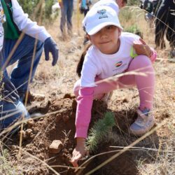 Reforesta Arteaga 2 mil árboles en la reserva natural voluntaria rancho las delicias10