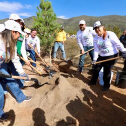 Reforesta Arteaga 2 mil árboles en la reserva natural voluntaria rancho las delicias5