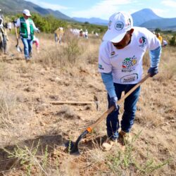 Reforesta Arteaga 2 mil árboles en la reserva natural voluntaria rancho las delicias6