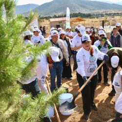Reforesta Arteaga 2 mil árboles en la reserva natural voluntaria rancho las delicias8