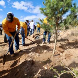 Reforesta Arteaga 2 mil árboles en la reserva natural voluntaria rancho las delicias9