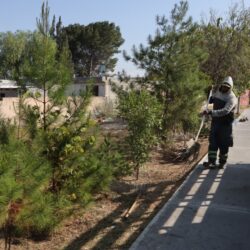 Refuerza Javier Díaz limpieza del paso peatonal en Nuevo Aurora