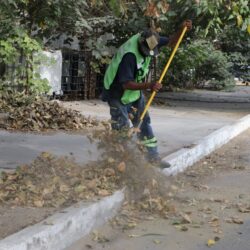 Refuerza Javier Díaz limpieza del paso peatonal en Nuevo Aurora1