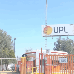 Tiene Ramos Arizpe invernadero de alta tecnología único en México 1