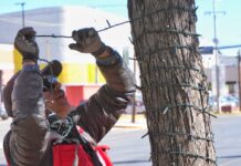 Torreón se prepara para la temporada decembrina; inicia la instalación del alumbrado navideño