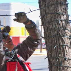Torreón se prepara para la temporada decembrina; inicia la instalación del alumbrado navideño