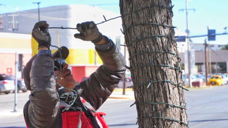 Torreón se prepara para la temporada decembrina; inicia la instalación del alumbrado navideño