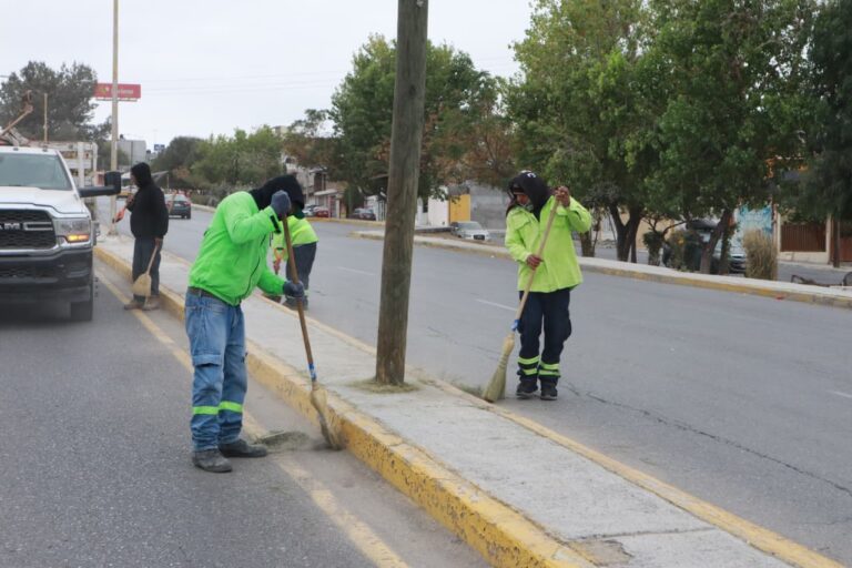 Trabaja Javier Díaz en el mantenimiento de plazas de ‘Activa tu Parque’