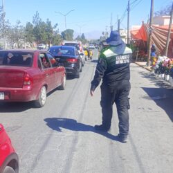 Trabaja Javier Díaz en el mantenimiento de plazas de ‘Activa tu Parque’3