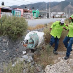 Trabaja Javier Díaz en el mantenimiento de plazas de ‘Activa tu Parque’5