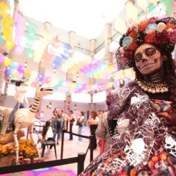 Vivamos en familia nuestras tradiciones3