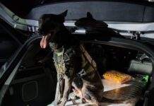 Asegura Policía Estatal 23.5 kg de cristal en Piedras Negras