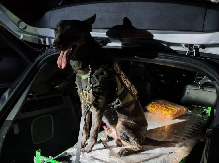 Asegura Policía Estatal 23.5 kg de cristal en Piedras Negras