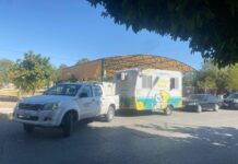 Control Canino realizó 190 esterilizaciones de perros y gatos en distintas colonias de Torreón