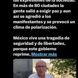 diputadas y diputados 2