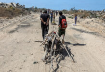 En diez años hay 250 millones de desplazados por el clima