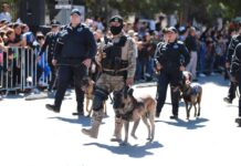 Habrá cierre vial por desfile de la Revolución en Saltillo; tome previsiones