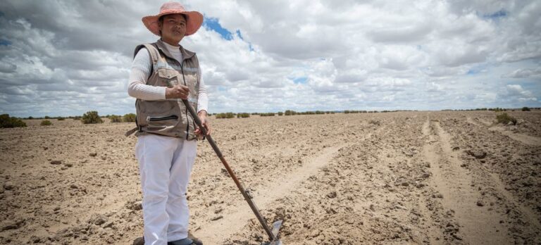 La tierra se degrada afectando la productividad agrícola y amenazando a mil 700 millones de personas