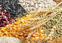 Producción mundial de alimentos alcanza niveles récord, pero persisten riesgos climáticos: FAO