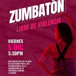 refuerzanede9afe3-2794-48d9-b17a-2da74309d597