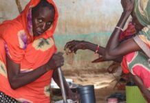 Se agravan las crisis alimentarias dejando a millones de vidas en peligro