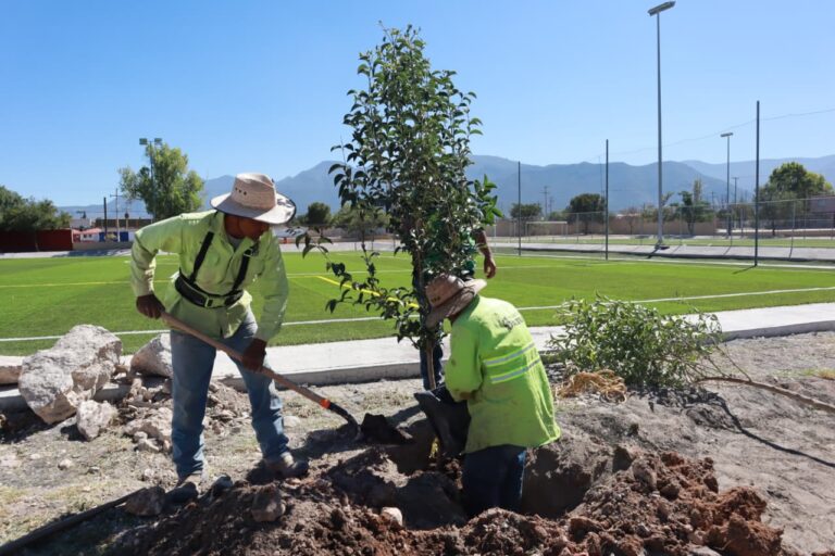 Siguen acciones de reforestación y limpieza en plazas de Saltillo