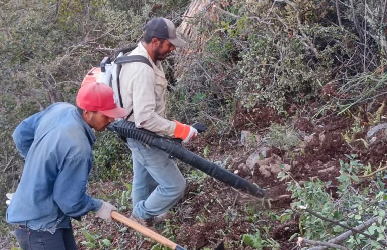 ¿Te interesan las labores de protección y conservación de los recursos naturales? Súmate a la Brigada Forestal de Amigos de la Sierra