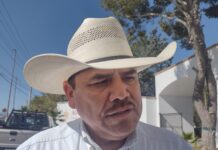 “Tenemos ya siete años de abandono en el campo en México”: José Natividad Navarro