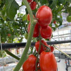 0822cb10-1d63-4136-bb3b-9332e8a932dd