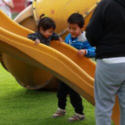 26c79a35-51b8-4767-80b6-bf2962bff0db