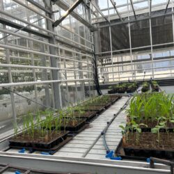 2dab055d-5922-46e3-85a6-329a43c33bd9