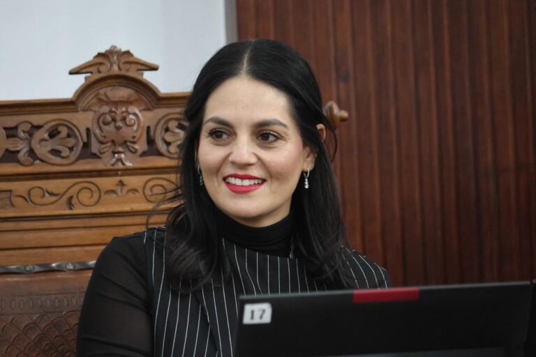 Los gobernadores de su partido están dejando sola a la presidenta: Luz Elena Morales