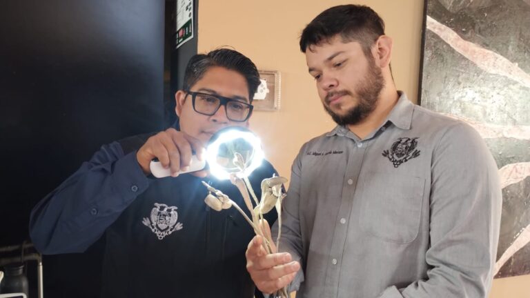 Analizan aumento de casos en ejido de Ramos Arizpe de enfermedad que afecta a la planta de candelilla