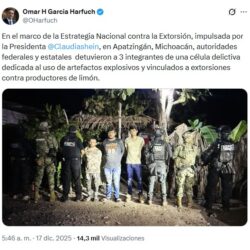 Captura de pantalla 2025-12-17 080414