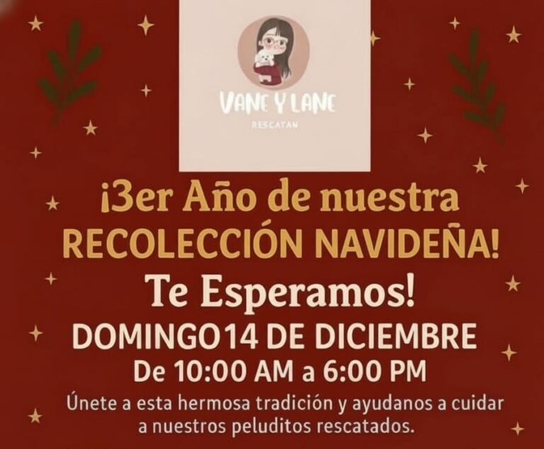 Convocan a la tercera colecta navideña en apoyo a animales rescatados en Ramos Arizpe