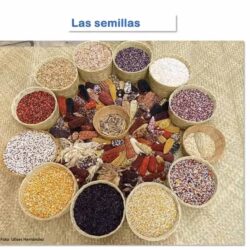 Fomento a redes comunitarias campesinas para preservar semillas, plantean universitarias2