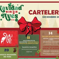 Invita MUSAVE a saltillenses 1