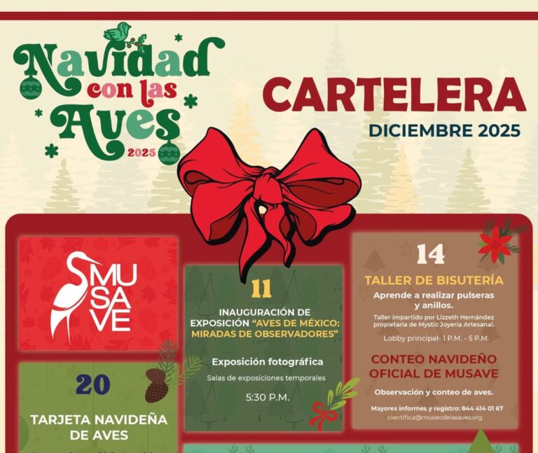 Invita MUSAVE a saltillenses a disfrutar del festival “Navidad con las Aves” 2025